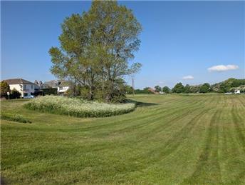 Parish open spaces looking amazing thanks to new Greens Contractor